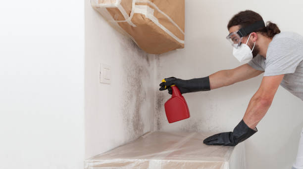 Professional Bathroom Mold Removal technician working in Broomfield, CO